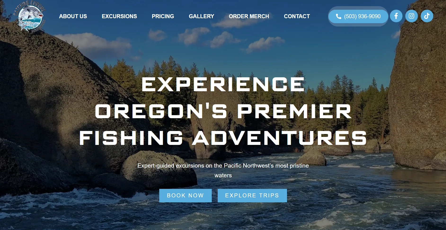 The old Catching Chrome website, a blue template with two competing call-to-action buttons